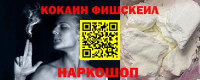 крисы Кулебаки