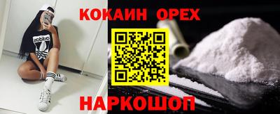 крисы Кулебаки