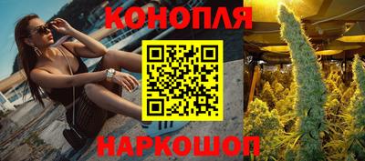 крисы Кулебаки