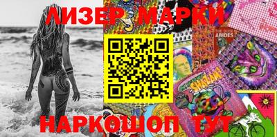 крисы Кулебаки