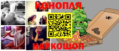 крисы Кулебаки